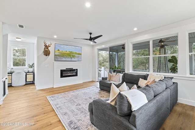 living room with ceiling fan and light hardwood / wood-style floors