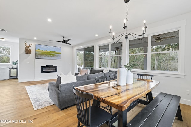 dining space featuring ceiling fan with notable chandelier, a healthy amount of sunlight, and light hardwood / wood-style floors