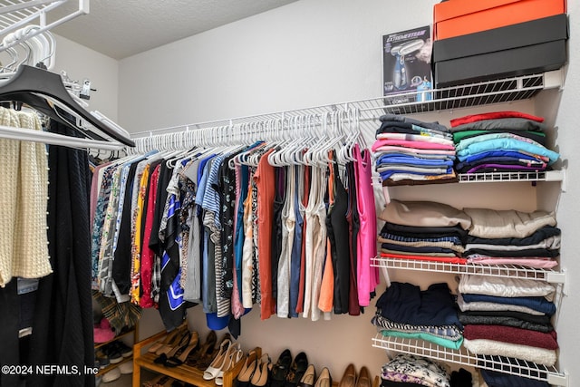 view of spacious closet