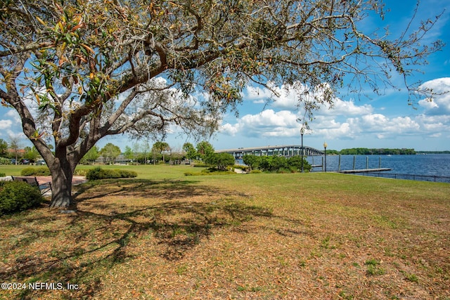 view of yard with a boat dock and a water view