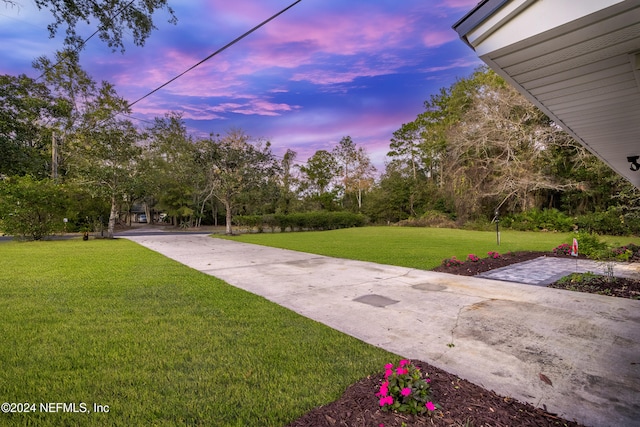 view of yard at dusk