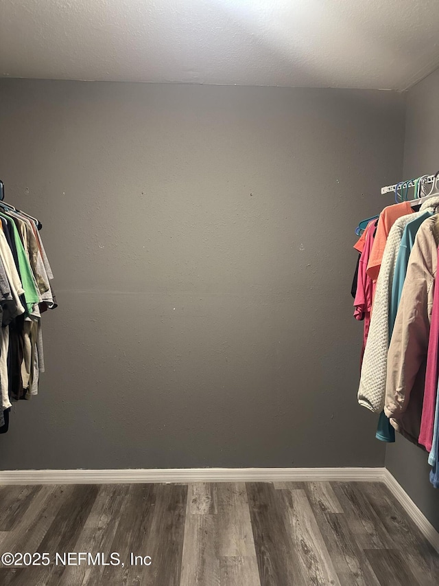 walk in closet with hardwood / wood-style floors