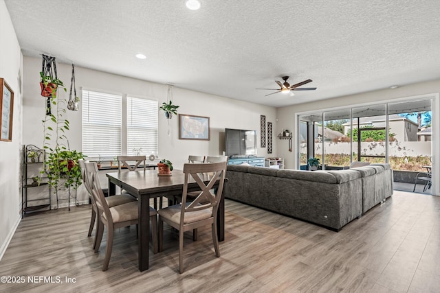 dining space featuring a textured ceiling, light hardwood / wood-style flooring, and ceiling fan