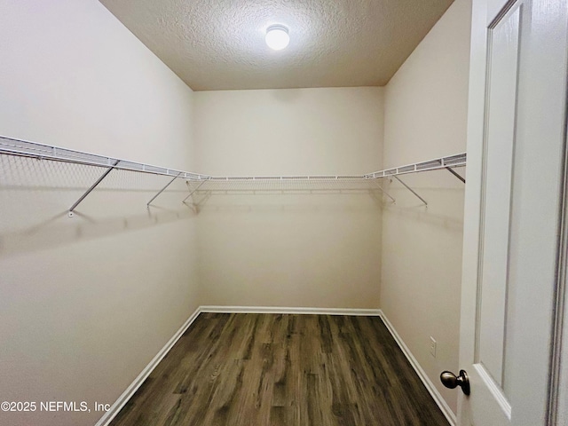 walk in closet with dark wood-type flooring