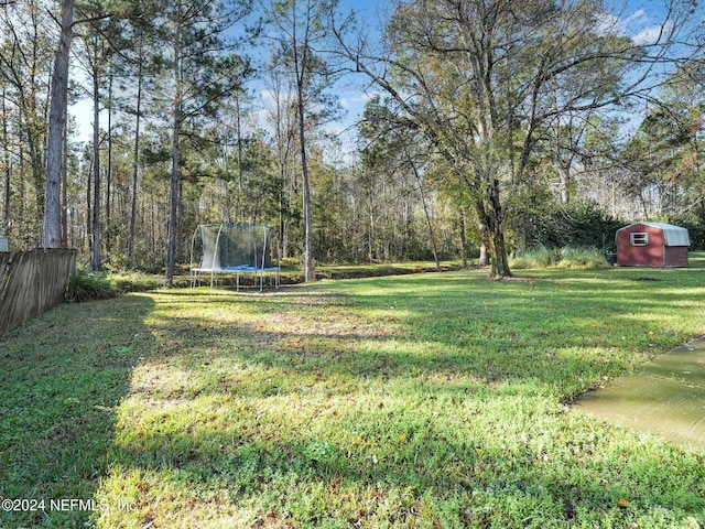 view of yard with a storage shed and a trampoline