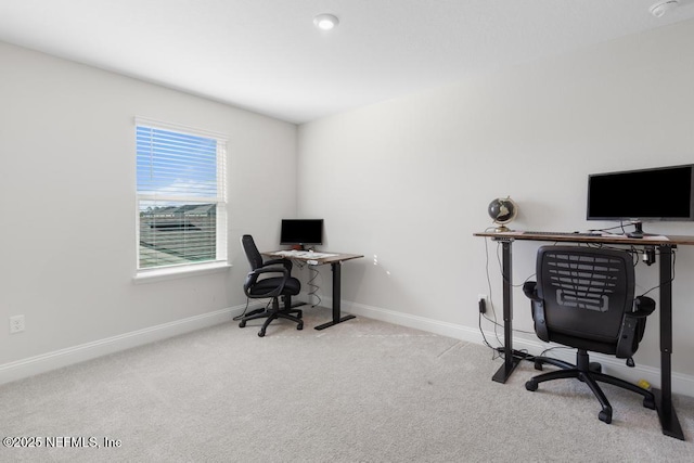 office space with light colored carpet