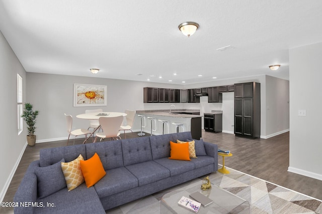 living room featuring hardwood / wood-style floors and sink