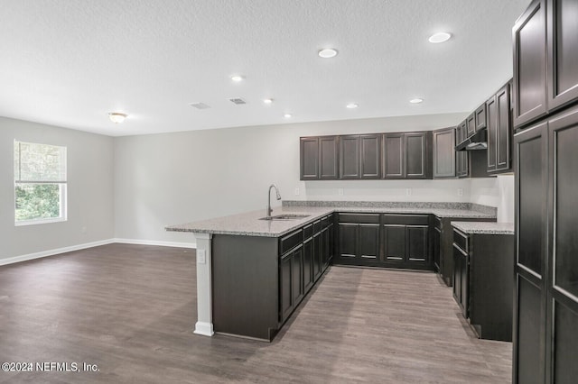 kitchen featuring hardwood / wood-style flooring, kitchen peninsula, light stone countertops, and sink