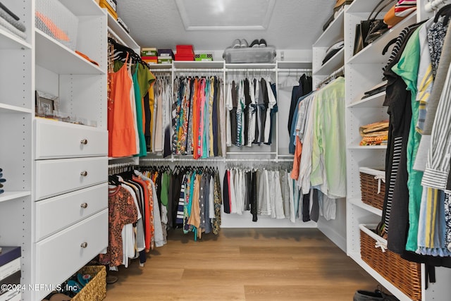 walk in closet with light hardwood / wood-style floors