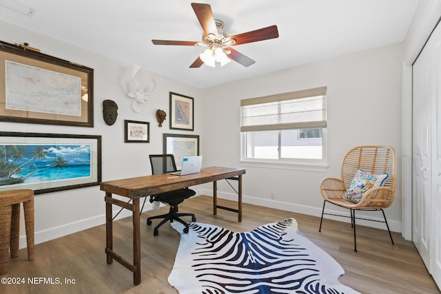 home office with ceiling fan and light hardwood / wood-style flooring