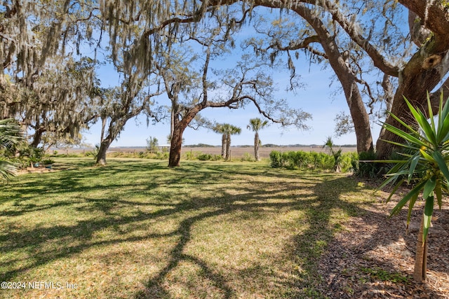 view of yard featuring a rural view