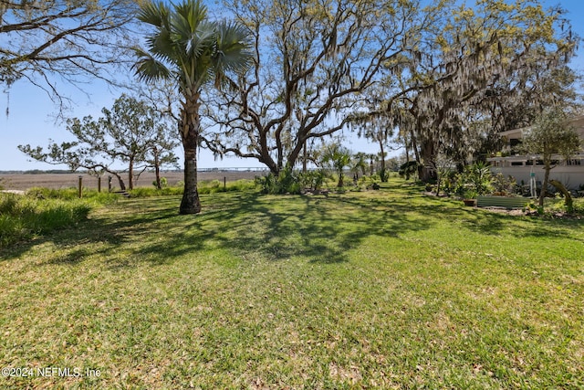 view of yard with a rural view