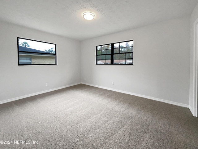 unfurnished room with carpet and a textured ceiling