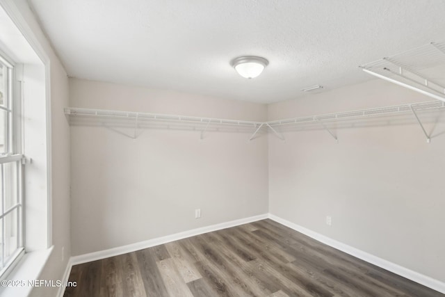 walk in closet with dark hardwood / wood-style floors