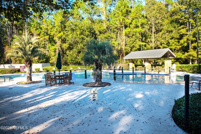 view of pool featuring a patio