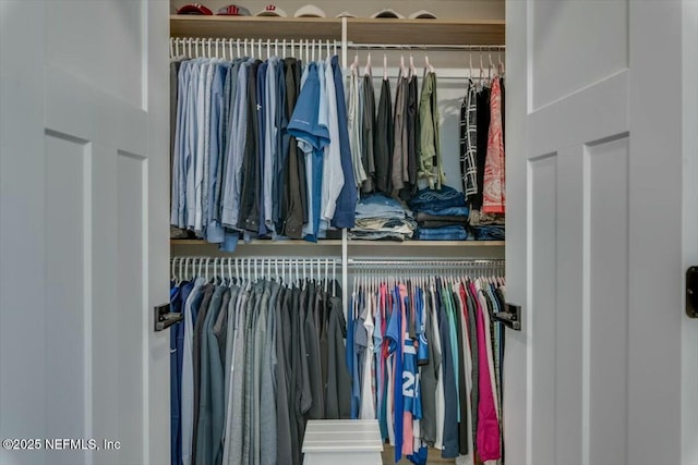 view of closet