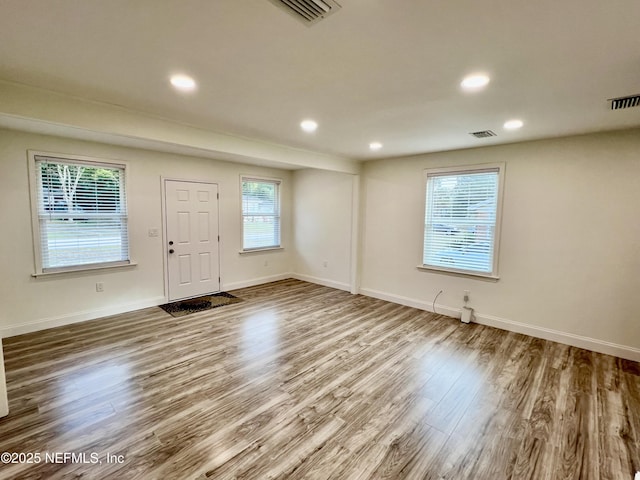 foyer featuring wood-type flooring