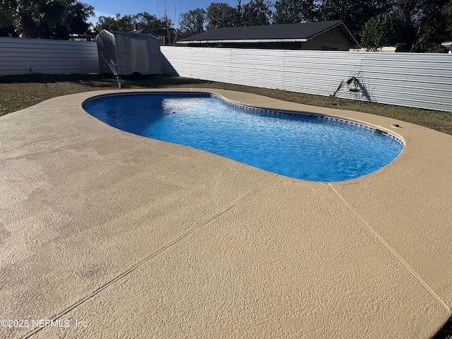 view of pool with a storage shed and a patio