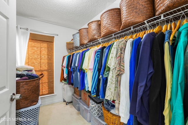 walk in closet with carpet flooring