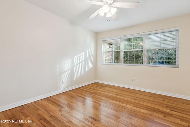 empty room with ceiling fan and wood-type flooring