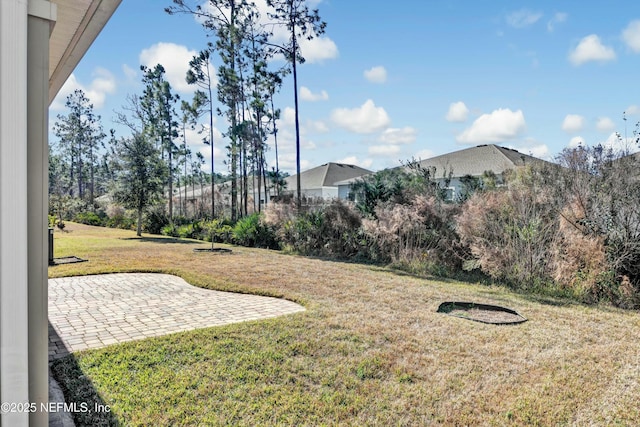 view of yard featuring a patio area