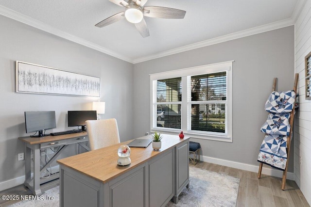 office space featuring ceiling fan, light wood-type flooring, and ornamental molding