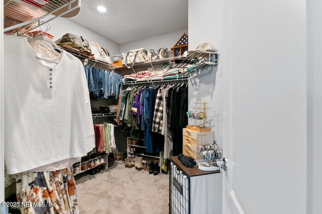 walk in closet featuring carpet flooring