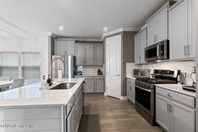 kitchen featuring sink, stainless steel appliances, an island with sink, gray cabinets, and decorative backsplash