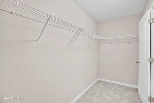 spacious closet with light colored carpet