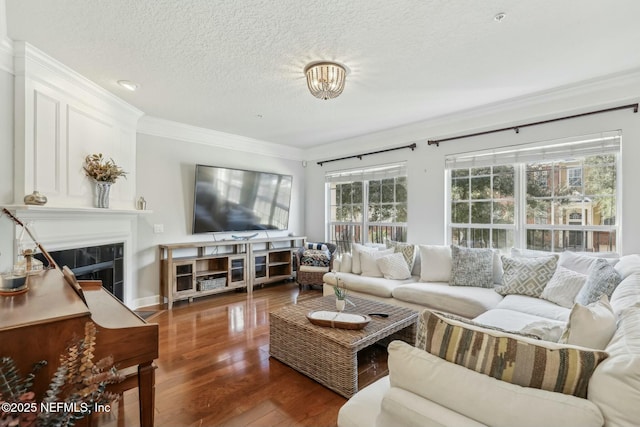 living room with dark hardwood / wood-style flooring, crown molding, and a textured ceiling