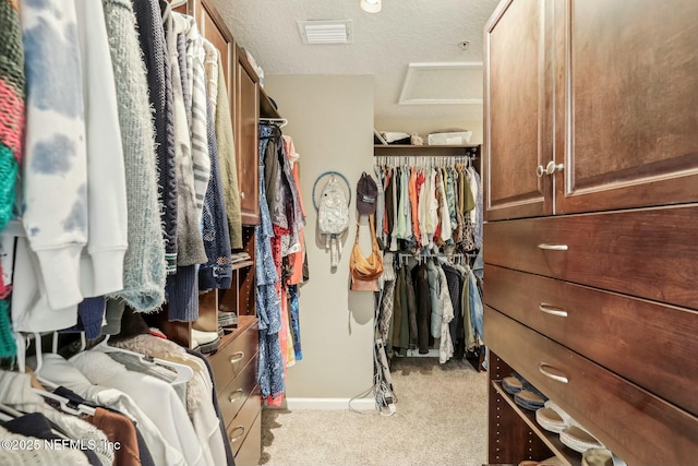 spacious closet with light carpet