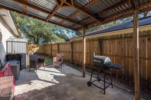 view of patio / terrace with area for grilling