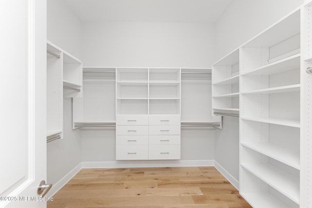 walk in closet with light wood-type flooring