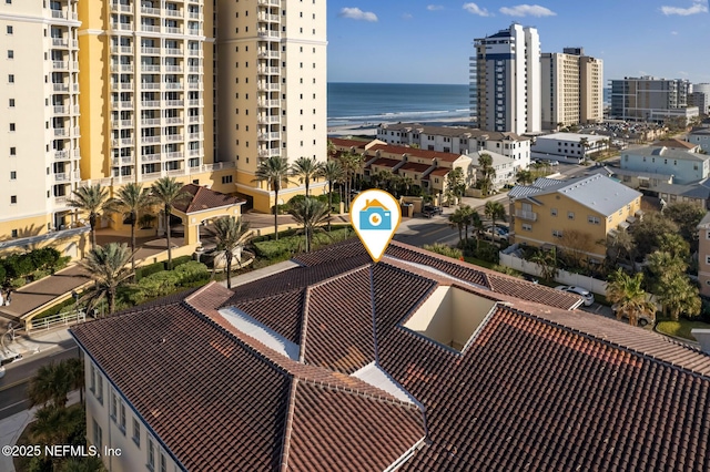 aerial view with a water view