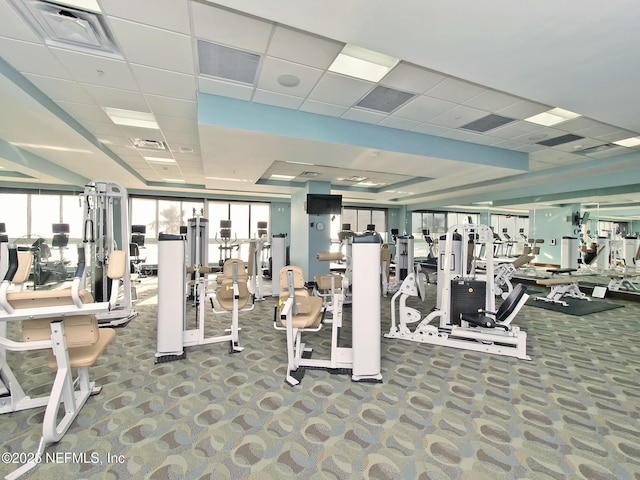 gym with carpet flooring and a paneled ceiling