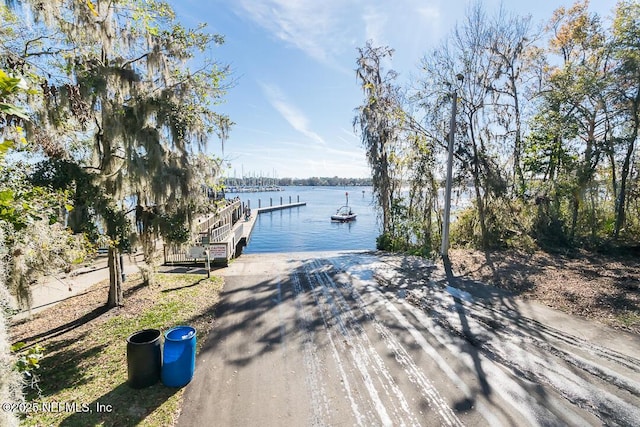 dock area with a water view