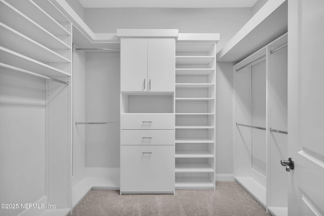 spacious closet with light colored carpet