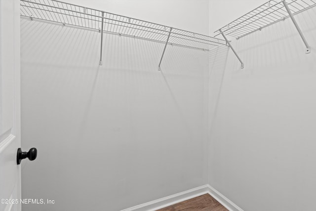 spacious closet with wood-type flooring