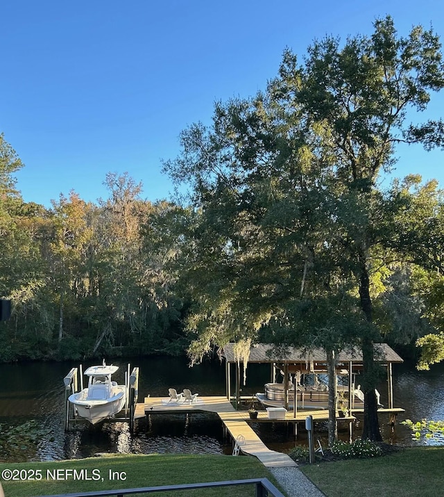 128 Lee Dr S, Middleburg, FL 32068 - photo 64