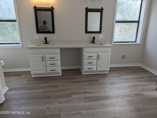 bathroom with vanity, a healthy amount of sunlight, and wood-type flooring