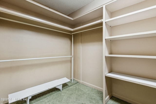 walk in closet featuring carpet floors