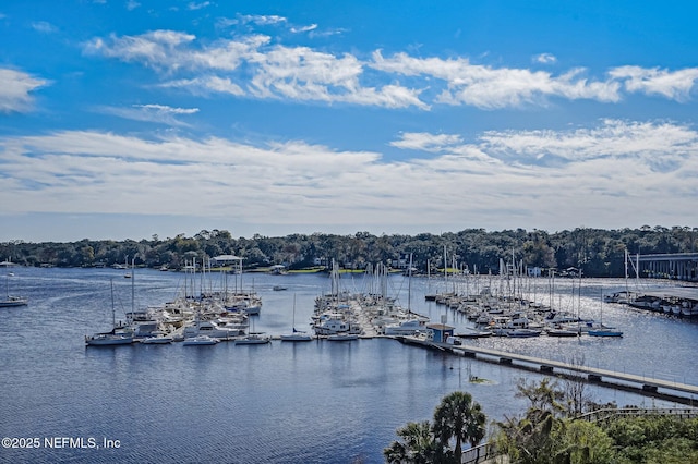 property view of water featuring a boat dock