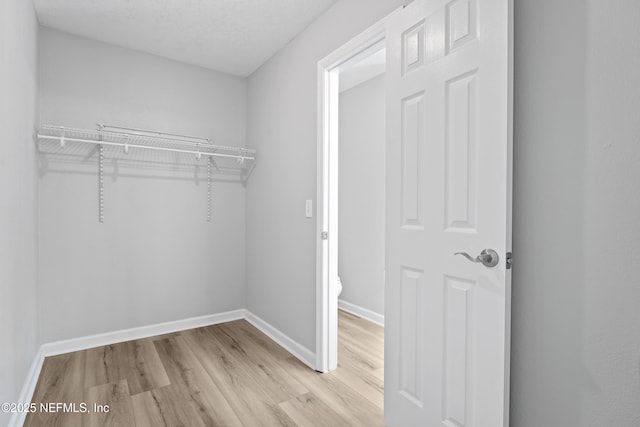 spacious closet featuring light wood-type flooring