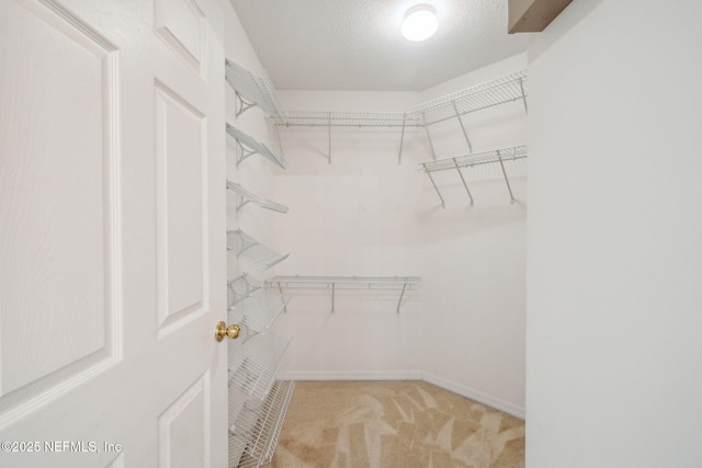 4340 Redtail Hawk Dr Unit 29-4, Jacksonville, FL 32257 - photo 13