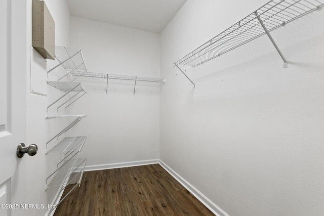 spacious closet with dark hardwood / wood-style floors