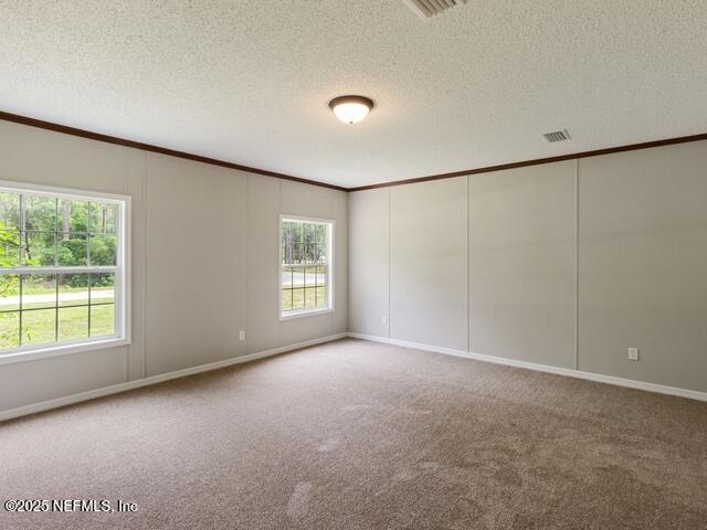 carpeted empty room with a textured ceiling and plenty of natural light