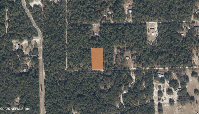 208 Papaya St, Pomona Park FL, 32181 land for sale