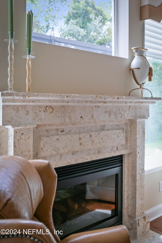 details with a premium fireplace