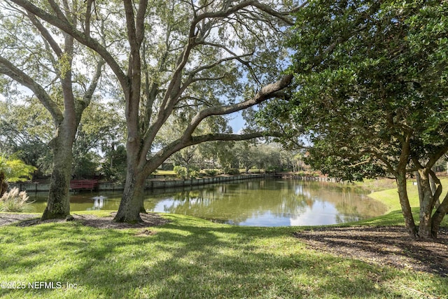 view of water feature