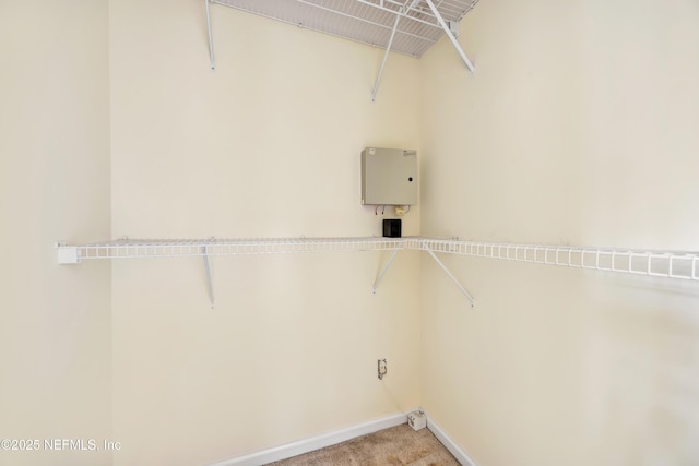 washroom with light colored carpet